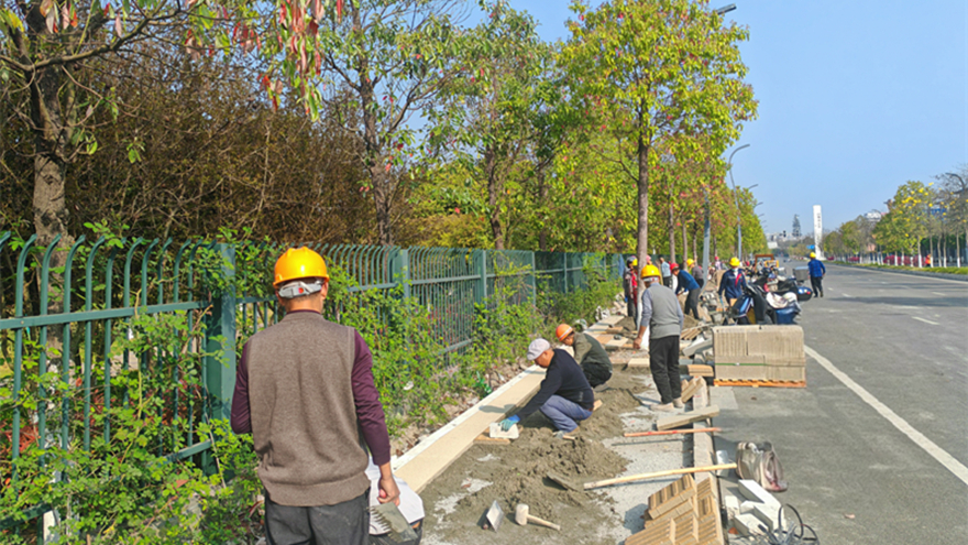 精準(zhǔn)督導(dǎo)促攻堅(jiān) 大河路及周邊海綿化改造項(xiàng)目全速推進(jìn)  